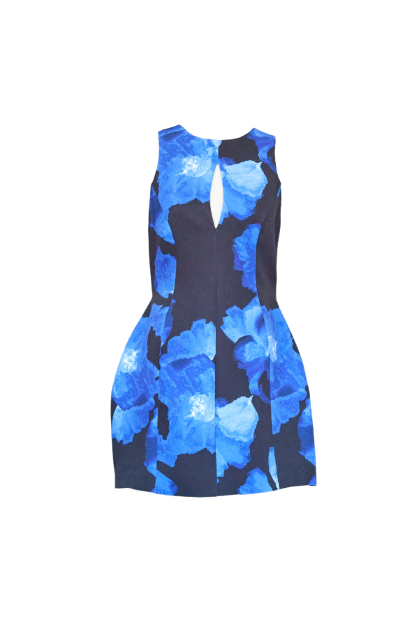 Amy Dress - Blue Floral - Image 2