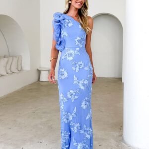 Trilby One Shoulder Mesh Maxi Dress - Blue Floral